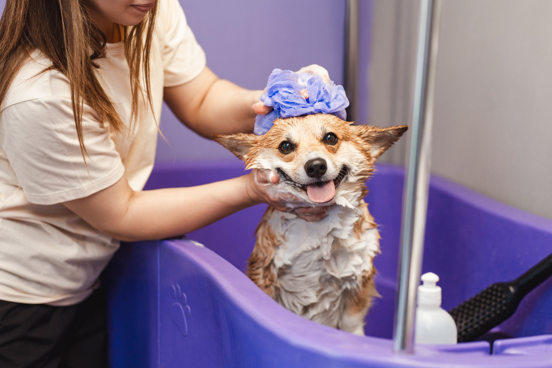 A little extra cuteness